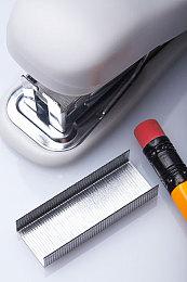 《天穗之咲稻姬》追加简体中文可同时抱起猫狗